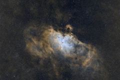 Eagle_HOO_Starry_3