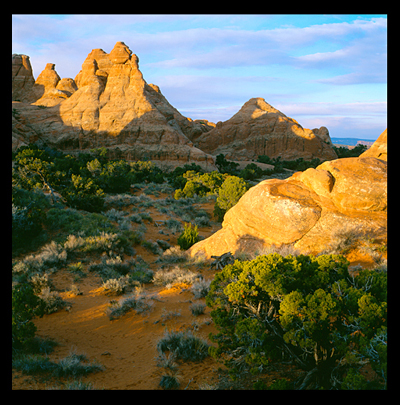 01_Arches