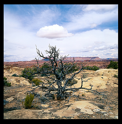 08_Canyonlands
