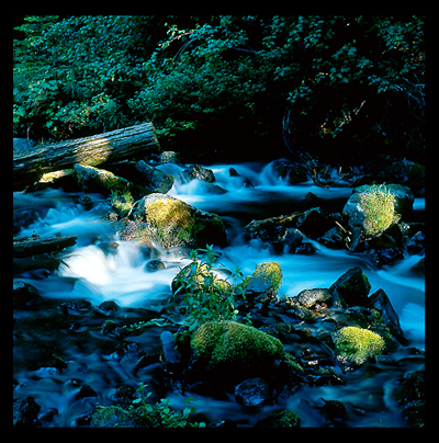 10_Creek_W. Oregon
