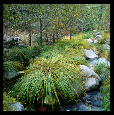 26_Oak Creek