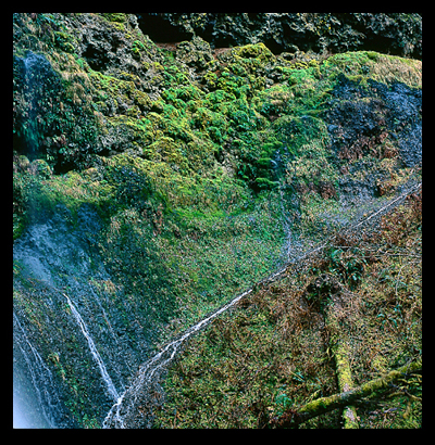 33_Silver Falls