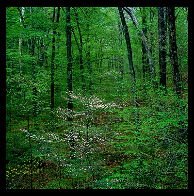 37_RockCreek