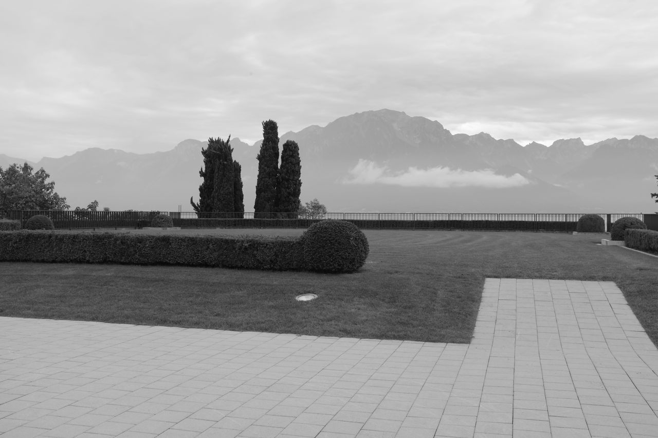 DSCF1548